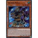 Gelber Ninja, DE 1A Super Rare SHVA-DE012