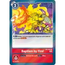Baptism by Fire! EX1-067 Rare EN Digimon Classic...